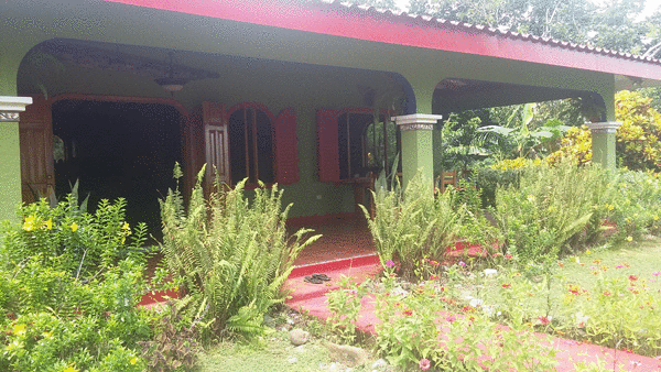 Costa Rica Real Estate